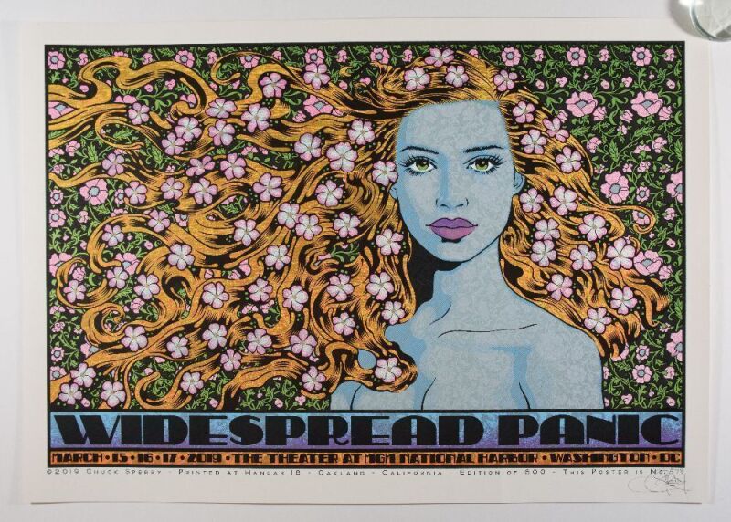 2019 Chuck Sperry Widespread Panic MGM National Harbor Washington DC Signed Sperry LE Poster Mint 93
