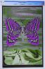 1968 FD-122 Iron Butterfly Velvet Underground Avalon Ballroom Poster CGC 9.9