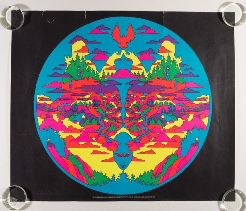 1972 Howard Bernstein 856 Headwaters Vintage Blacklight Headshop Poster Extra Fine 69