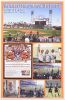 2011 San Francisco Giants Grateful Dead Night AT&T Park Poster Near Mint 83