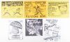 Lot of 6 John Seabury Psycotic Pineapple Vintage Punk Signed Seabury Flyers