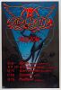 1990 BGP-36 Rick Griffin Aerosmith Skid Row Tour Poster Mint 91