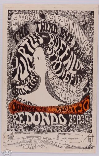 1966 Buffalo Springfield The Turtles The Third Eye Redondo Beach Poster Extra Fine 69