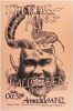 1976 Freddie King John Hammond Armadillo World Headquarters Austin Poster Near Mint 89
