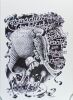 1976 Balcones Fault Chastity Fox Armadillo World Headquarters Austin Signed Yates Poster Excellent 79