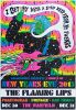 2015 The Flaming Lips The Warfield Theatre Poster Near Mint 87