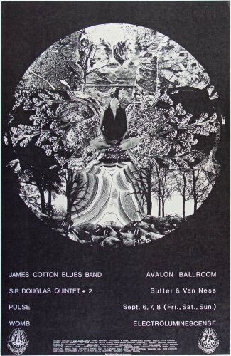1968 FD-136 James Cotton Blues Band Avalon Ballroom Poster Near Mint 85