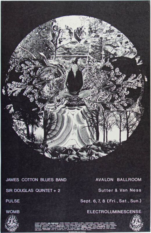 1968 FD-136 James Cotton Blues Band Avalon Ballroom Poster Near Mint 85