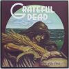 1973 Grateful Dead Wake of the Flood GD Records Original Pressing Vinyl LP Record