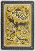 1996 NF-235 Counting Crows The Fillmore Poster Near Mint 87