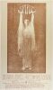 1968 FD-134 Spirit Sir Douglas Quintet Avalon Ballroom Poster Near Mint 89