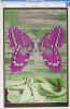 1968 FD-122 Iron Butterfly Velvet Underground Avalon Ballroom Poster CGC 9.9