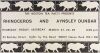 1968 Rhinoceros Aynsley Dunbar Boston Tea Party Poster Excellent 75