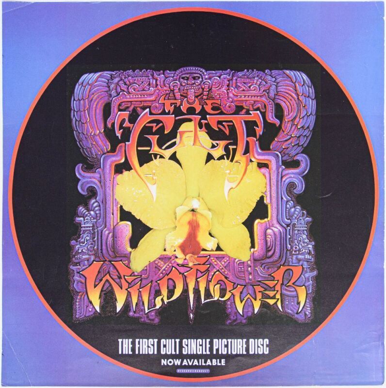 1987 Rick Griffin The Cult Wild Flower Promo Poster Excellent 75