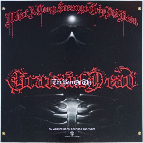 1977 Rick Griffin Grateful Dead What a Long Strange Trip It's Been Warner Bros. Promo Poster Near Mint 85