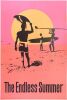 1987 The Endless Summer Headshop Poster Near Mint 85