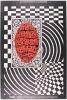 1968 BG-102 Chambers Brothers Sunshine Company Fillmore Auditorium Poster Near Mint 89