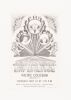 1969 Jimi Hendrix Experience Pacific Coliseum Vancouver Handbill Mint 93