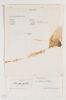 1965 Joan Baez ABC Nightlife Television Talkshow Official Signed Contract & Expense Report and Receipts Extra Fine 61 - 2