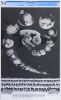 1968 FD-131 Pink Floyd Avalon Ballroom Poster CGC 9.8