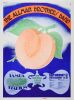1973 The Allman Brothers Band The Marshall Tucker Band Tampa Stadium Poster Near Mint 83