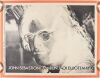 1970 John Sebastian Ramblin' Jack Elliott Boston Tea Party Poster Excellent 73