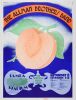 1973 The Allman Brothers Band The Marshall Tucker Band Tampa Stadium Poster Near Mint 83