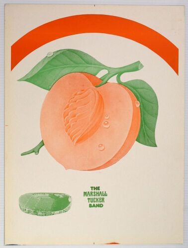 1973 The Allman Brothers Band The Marshall Tucker Band Tampa Stadium Progressive Orange & Green Proof Run Poster Mint 93