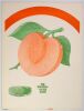 1973 The Allman Brothers Band The Marshall Tucker Band Tampa Stadium Progressive Orange & Green Proof Run Poster Mint 93