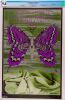 1968 FD-122 Iron Butterfly Velvet Underground Avalon Ballroom Signed Schnepf Poster CGC 9.6