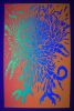 1969 Phoenix Dragon Bird Blacklight Poster Extra Fine 65 - 2