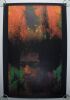 1969 Jimi Hendrix Experience Poster Prints The Visual Thing Poster Excellent 75