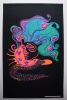 1969 Lucy In The Sky With Diamonds Pro Arts Blacklight Poster Near Mint 81