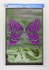 1968 FD-122 Iron Butterfly Velvet Underground Avalon Ballroom Poster CGC 9.8