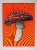 2015 Chuck Sperry Know ThySelf Mushroom Artist Proof Signed Sperry Poster Mint 95