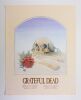 1981 Stanley Mouse Grateful Dead Europe Tour Poster Excellent 75