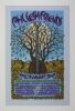 Collection of 8 Phil Lesh & Friends Posters Some are Signed LE Various Grades - 14