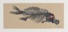 2007 EMEK Gas Mask Fish Signed Emek Handbill Mint 91