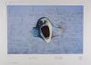 1995 Pink Floyd The Wall The Scream Original LE Lithograph Poster Extra Fine 69