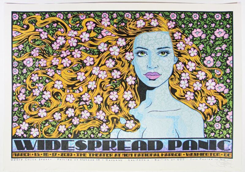 2019 Chuck Sperry Widespread Panic MGM National Harbor Washington DC Signed Sperry LE Poster Near Mint 87